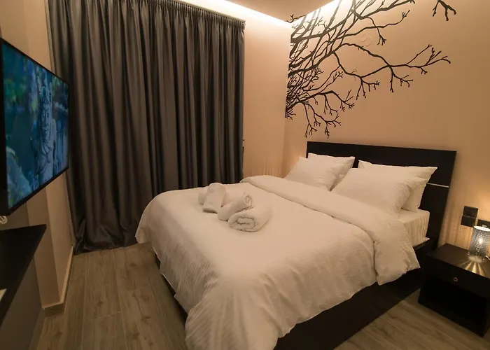 Elegant Studio